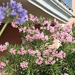 Les Pins Bleus A8 Apartment *