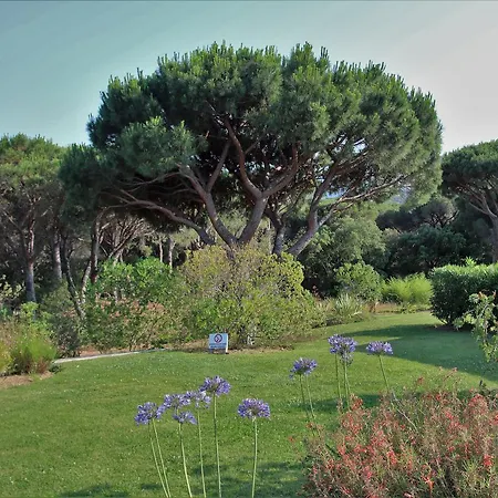 Daire Les Pins Bleus A8 *