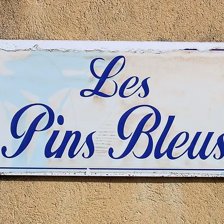 Les Pins Bleus A8 Apartment *
