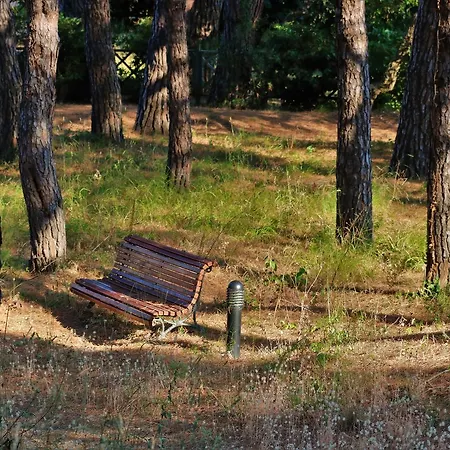 Les Pins Bleus A8 Apartment Sainte-Maxime
