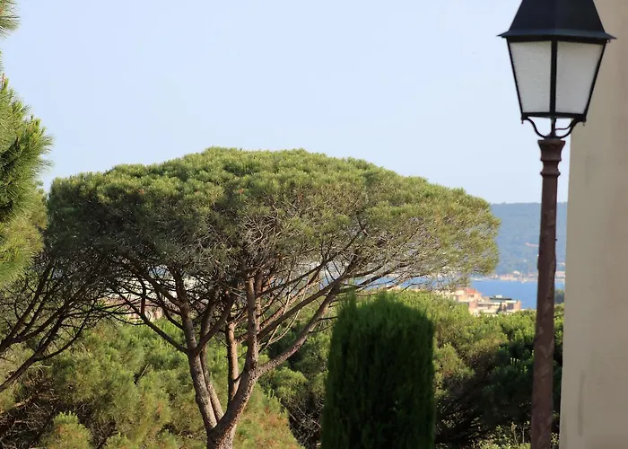 Apartment Les Pins Bleus A8 Sainte-Maxime