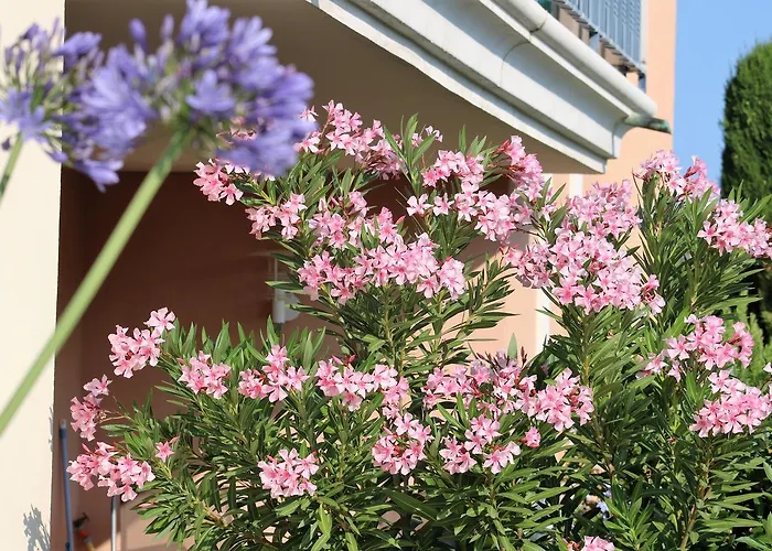 Les Pins Bleus A8 Apartment *