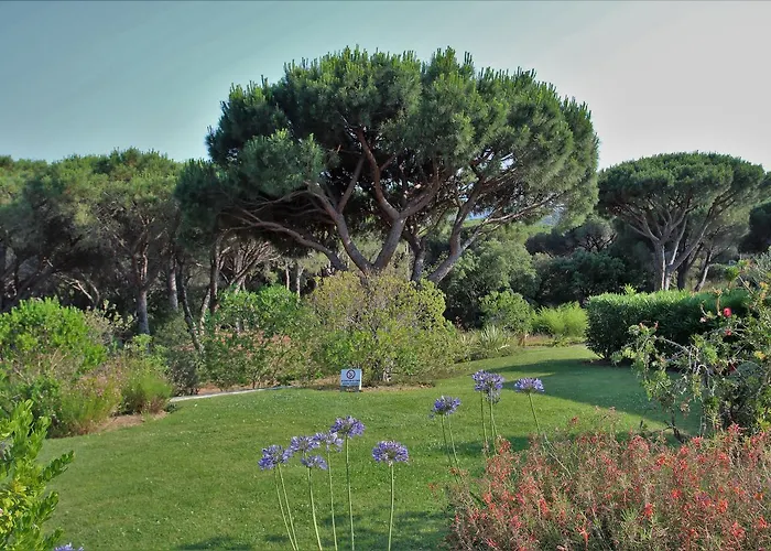 Apartman Les Pins Bleus A8 *