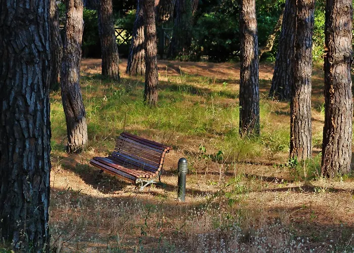 Les Pins Bleus A8 Apartman Sainte-Maxime